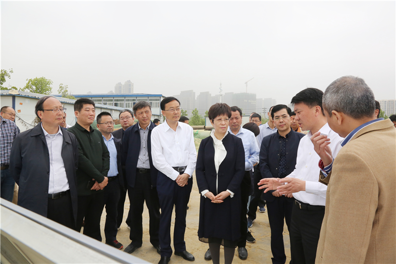 合肥市委副书记、市长凌云到胡大郢污水处理厂项目调研考察