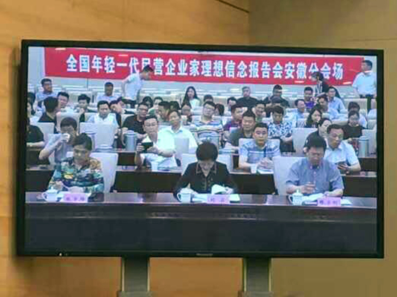 王坤出席年轻一代民营企业家理想信念报告会安徽分会场会议