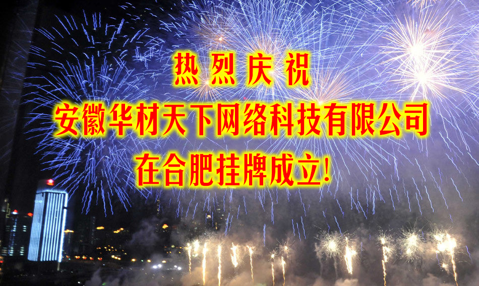 安徽华材天下网络科技有限公司在合肥挂牌成立